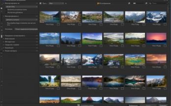 القبض على واحد برو 23 Full Version