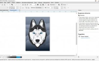 برنامج كوريل درو المحمول Full Version
