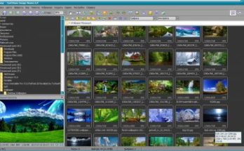 عارض الصور فاستستون Full Version