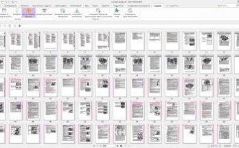 فوكسيت فانتوم Full Version