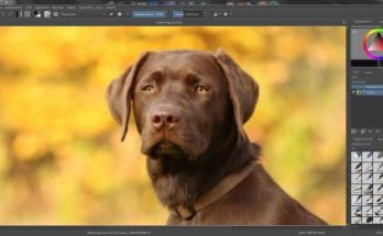 كريتا Full Version