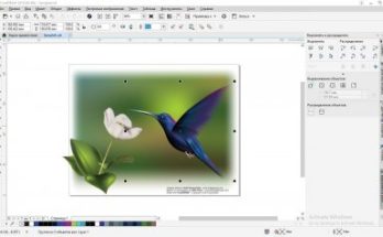 مجموعة الرسومات CorelDRAW 2018 Full Version