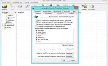 مدير تحميل الانترنت Full Version