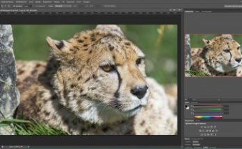 فوتوشوب CS6 محمول Full Version
