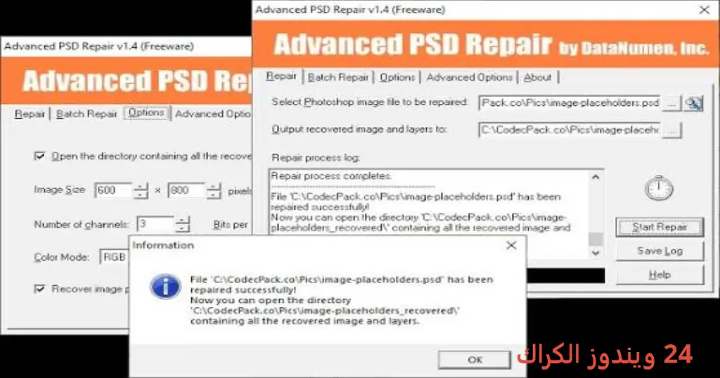 DataNumen PSD Repair تحميل مجاني
